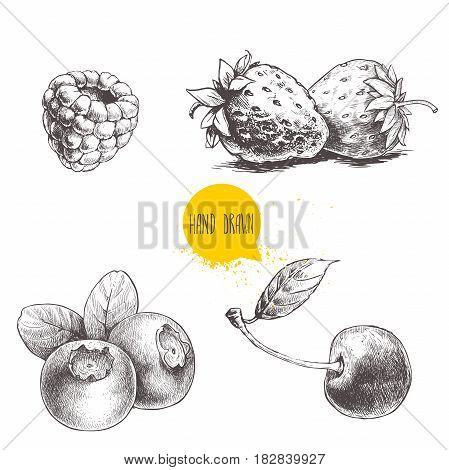 Hand drawn sketch style berries set isolated on white background. Raspberry strawberry cherry and blueberry. Healthy fruit and berry vector illustration.