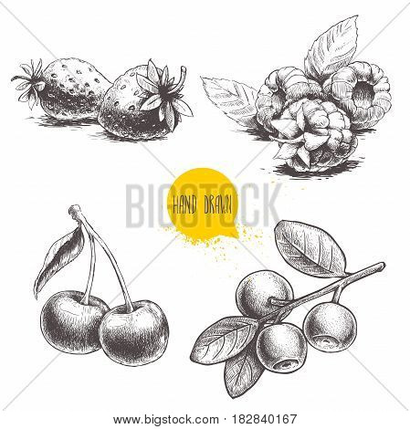 Hand drawn sketch style berries set. Raspberry with leafs strawberries cherry and blueberries branch. Healthy fruit and berry vector retro illustration on white background.