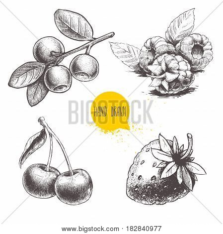 Hand drawn sketch style berries set. Raspberry with leafs strawberries cherry and blueberries branch. Healthy fruit and berry vector vintage illustration on white background.
