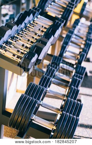 Dumbbelle weights equipment in a row at the gym