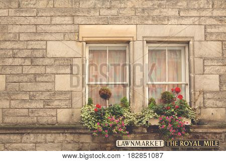 Window, wall and floral window box detail on The Royal Mile in Edinburgh, Scotland. Retro, matte finish processing.