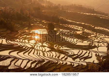 Sunrise At Yuanyang Rice Terrace From Yuanyang Village, Yunnan Province, China