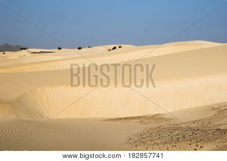 Sandy desert on the island of Boa Vista, Cape Verdi