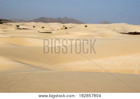 Sandy desert on the island of Boa Vista, Cape Verdi
