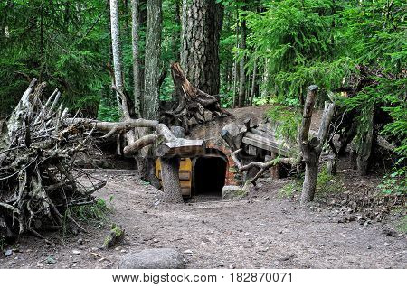 Dwarfs fairy houses in the mysterious woods.