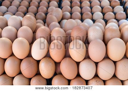 close up fresh brown raw eggs in the market