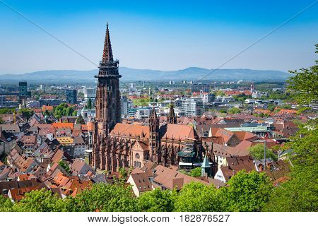 An image of the cathedral in Freiburg Germany