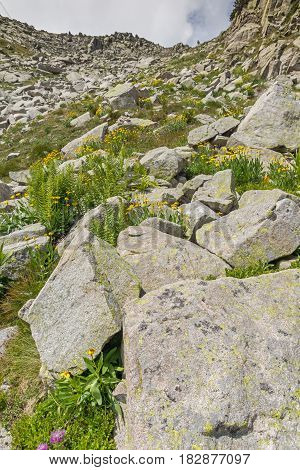 Amazing Landscape from Banderitsa pass, Pirin Mountain, Bulgaria