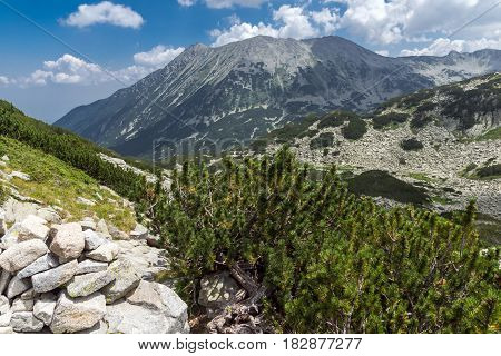 Amazing Landscape from Banderitsa pass, Pirin Mountain, Bulgaria