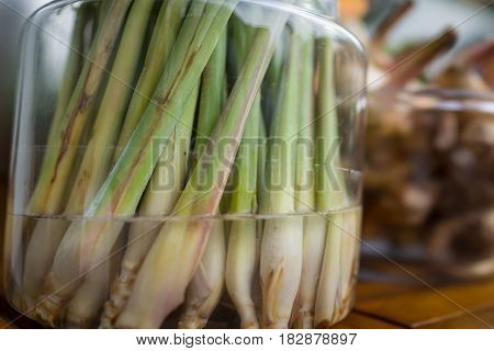 close up of Thai lemon grass in jars with water