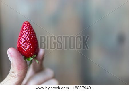 Close up of ripe fresh strawberry in woman fingers