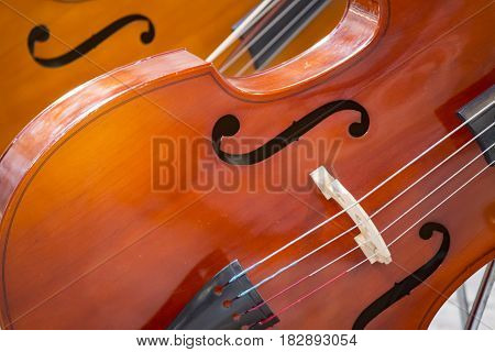 Close up of two cello. violoncello, violin