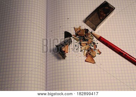 Pencil shavings on a tetrad sheet and a sharpener