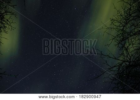 Clouds Passing In The Moon Light By Over A Forest And On A Night Sky Full Of Stars