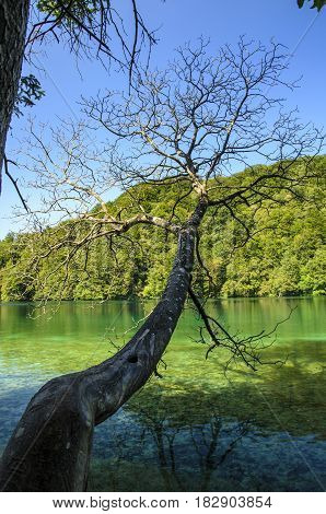 landscape of plitvice lake national park at sunset unesco heritage site plitvice croatia.