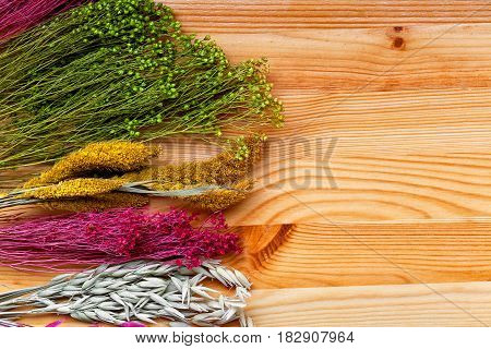 Background of a beautiful wild dried flowers close-up. dried decorative flowers and plants on a wooden background. Place for text