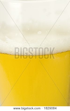 Frothy Head Of Beer