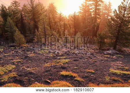 Mistz Sunset at the Paulinas Peak in Oregon