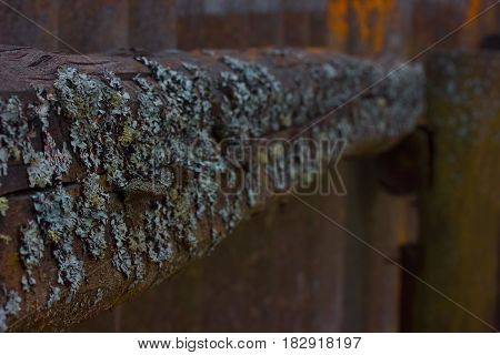 Wooden Fence Infected With Fungus Selective Focus.