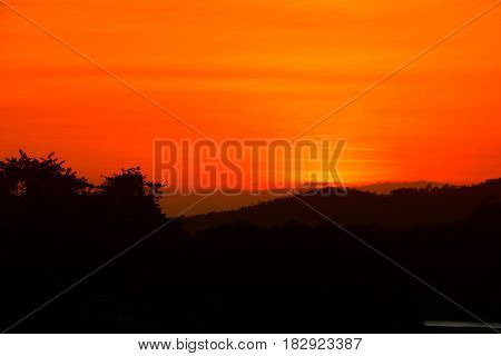 sunset beautiful and silhouette tree colorful landscape in sky twilight time