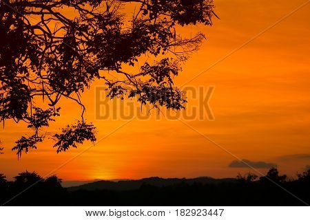 silhouette tree and sunset beautiful colorful landscape in sky twilight time