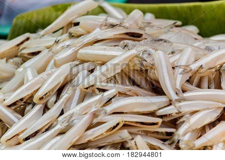 Dried sea fish for sale in local market Thailand
