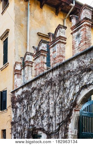 Wall Of Urban Park Giusti Garden In Verona