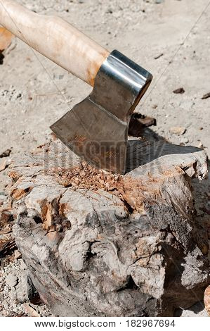 The ax in the pine log. Close up photo.