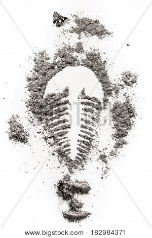 Trilobite fossil imprint drawing silhouette in grey stone dust ash dirt as archeolog history geology paleontology evolution extinct life concept illustration