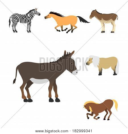 Set of horse pony stallion isolated different breeds color farm equestrian animal characters vector illustration. Collection mammal silhouette domestic animal cartoon pet design.