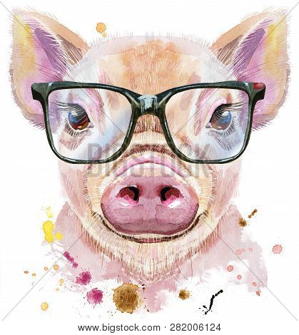 Watercolor Portrait Of Mini Pig With Glasses