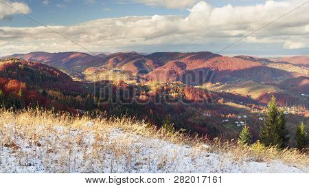 Golden Forest Ridge Sokilsky
