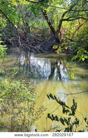 Views Of Jordan River Trail With Surrounding Trees, Russian Olive, Cottonwood And Silt Filled Muddy 