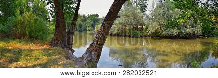 Views Of Jordan River Trail With Surrounding Trees, Russian Olive, Cottonwood And Silt Filled Muddy 