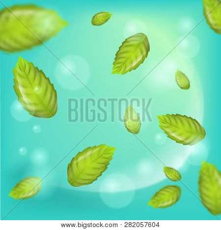 Realistic Illustration Flying Mint Leaf Vector. 3d Image Fresh Mint Leaves On Green Background. Refr