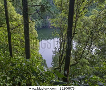 View Though Trees Over Green Volcanic Lake Lagoa Do Congro Hidden In Rainforest Vegetation. Sao Migu