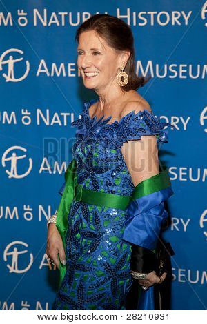 NEW YORK - NOV 10: Ann Ziff navštěvuje Gala 2011 americké muzeum přírodní historie si v listopadu 