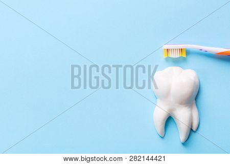 Dental Health And Teethcare Concept. Toothbrush With White Tooth Model On Blue Background. Copy Spac