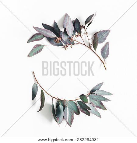 Eucalyptus Leaves On White Background. Wreath Made Of Eucalyptus Branches. Flat Lay, Top View, Copy 