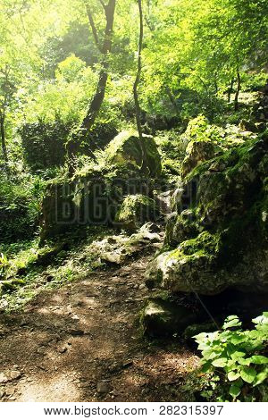 Summer Mountain Forest. Grotto Of St. Simon The Canaanite.  New Athos, Republic Of Abkhazia.