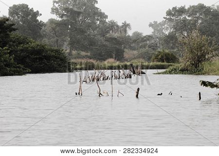 River Scene In The Gambia