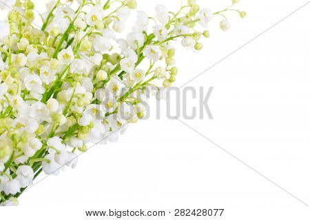 Lilies of the Valley isolated on a white background. Selective focus.
