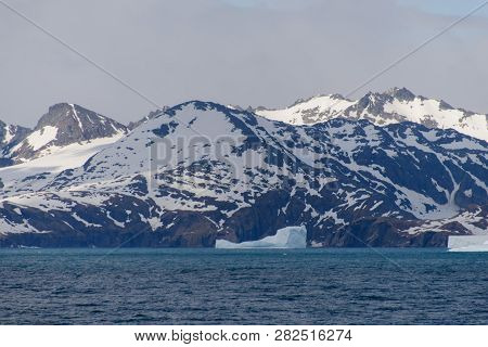 South Georgia Landscape
