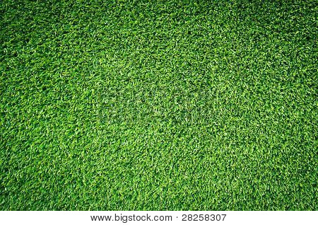 Yeşil çim dokusu kadar yakın