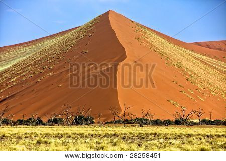 Store Orange Dune på Sossusvlei Namib Naukluft Park Namibia Afrika