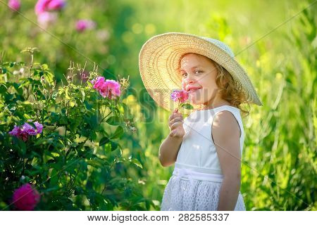 A Little Girl Wearing Flower Yellow Dress With White Hat And Stand In The Yellow Flower Field Of Sun