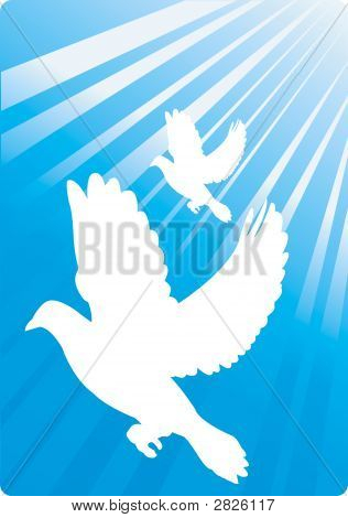 Aves
