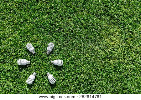 Energy Efficient Light Bulbs On Green Grass. Energy Saving Concept