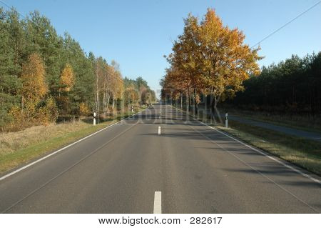 Street