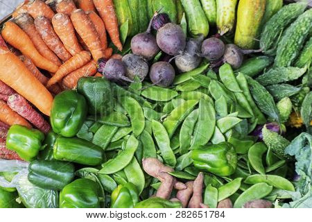 View From Top, Fresh Green Vegetables , Agricultural Products Of Sikkim , India. Carrot, Capsicum, B